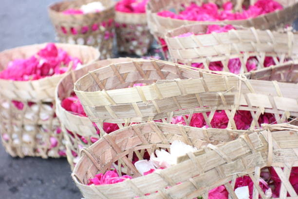 تصویر 4 از گل محمدی خوشبو برای ترکیب با چای سبز و دمنوش آرامش‌ بخش